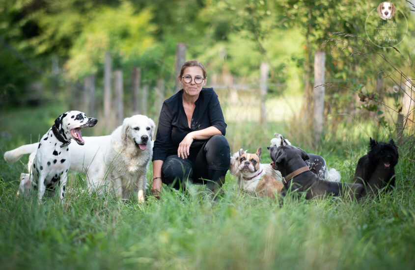 Ein Platz für jeden Hund