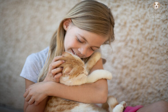 Katzenfotografie mit Kind - Oberösterreich