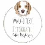 logo-web