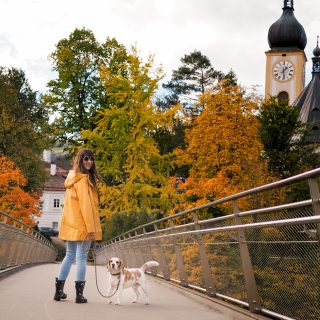 Wir wünschen euch einen schönen Sonntag, genießt den Tag mit euren Vierbeinern! 🥰🐶
📷 @lovely_bear_leann 
#sonntag #sundayfunday #entspannen #gummistiefel #regenjacke #herbst #herbstliebe #herbstfarben #meandmydog #hundeliebe #charlie #beagle #waueffekt