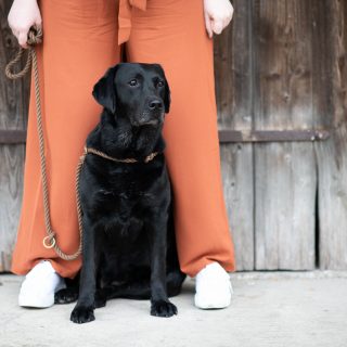 🐾🐶 Wir walken wieder! 🐾🐶
Und zwar am 25. November 2023 in Ansfelden, beim letzten Fotowalk in diesem Jahr!  Während ich euch und euren Hund 🐶 fotografiere, kümmert sich Kerstin von @vollzeit4beiner darum, dass eure Lieblinge brav und richtig posieren – gerne auch weihnachtlich. 😉🎄Jetzt noch schnell anmelden, wir haben nur noch wenige Plätze frei ▶️ https://vollzeit4beiner.at/fotowalk
#fotowalk #hundefotografie #spaziergangmithund #hundespaziergang #vollzeit4beiner #hundefotografie #fotosvondeinemhund #nikond850 #waueffekt