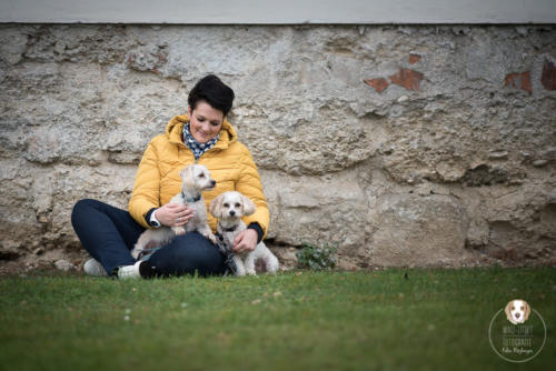 Hundefotografie mit Wau-Effekt