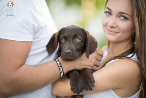 Hundefotografie mit Wau-Effekt