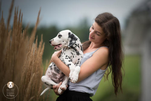 Hundefotografie mit Wau-Effekt