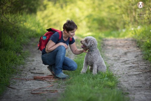 Hundefotografie mit Wau-Effekt