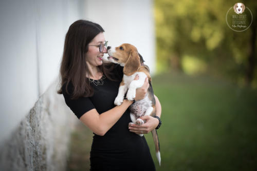 Hundefotografie mit Wau-Effekt