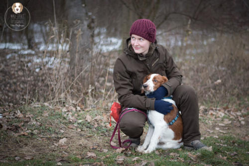 Hundefotografie mit Wau-Effekt