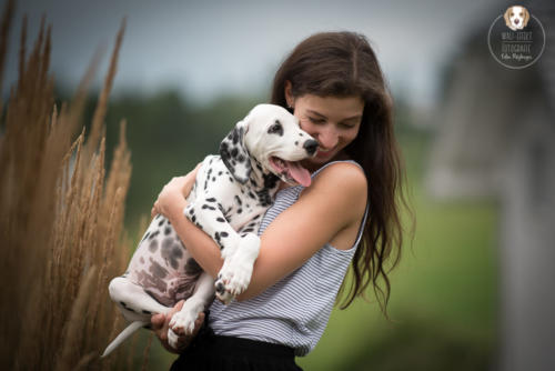 Hundefotografie mit Wau-Effekt