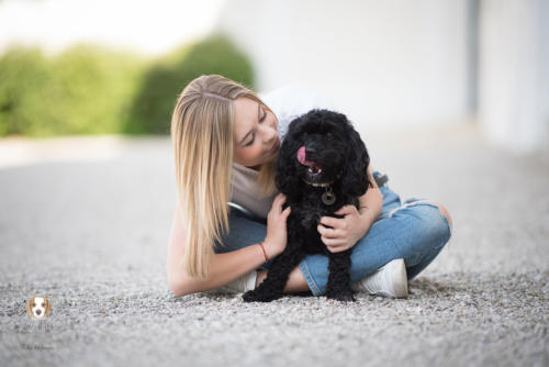 Hundefotografie mit Wau-Effekt