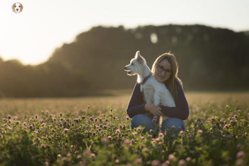 Hundefotografie mit Wau-Effekt