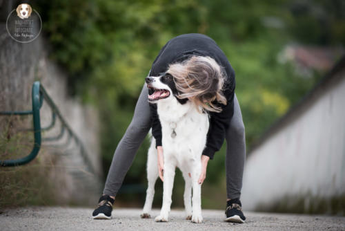 Hundefotografie mit Wau-Effekt