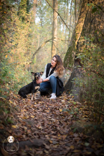 Hundefotografie mit Wau-Effekt