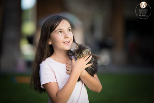 Katzenfotografie mit Wau-Effekt