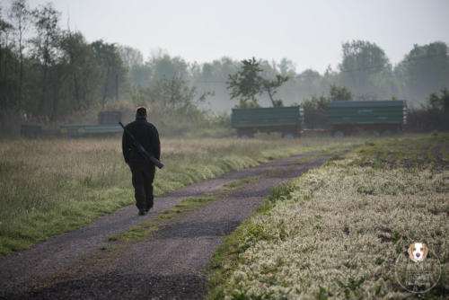 Naturfotografie mit Wau-Effekt